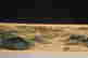 item-89291209=3