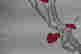 item-90503080=3