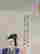 item-91085021=2