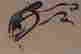 item-96168326=2