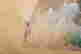 item-104919809=8