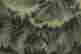 item-110314084=4