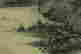 item-110314084=5