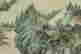 item-114086359=4