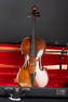 VINTAGE VIOLIN WITH CASE