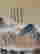 item-115078647=2