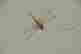 item-117174568=2
