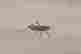 item-117174866=2