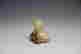 item-119146847=4