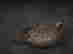 item-119146849=3