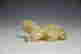 item-119146863=3