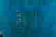 item-119146866=11