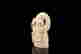 item-121467326=2