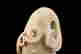 item-121467326=9