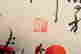 item-121467345=8