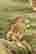 item-121467621=15