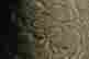 item-123344681=5