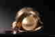item-125769670=5
