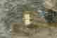 item-125769670=8