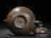 item-129055267=9