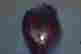 item-129055280=2