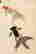 item-129055381=3