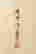 item-129055381=4