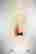 item-129055390=1