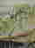 item-129055732=3