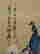 item-130246955=9