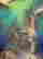 item-130247209=4