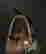 item-131344876=3
