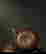 item-131344880=9