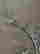 item-131344900=5