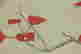 item-131344927=6