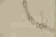 item-131344927=7