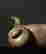 item-131344930=5
