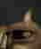 item-131344930=8