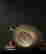 item-131344930=9