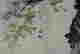 item-131344949=9