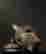 item-131344952=9