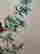 item-131345061=3
