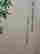 item-131345061=9