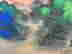 item-131345068=4