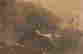 item-131345101=3