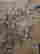 item-131345106=4