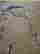 item-131345106=5