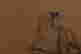 item-131345195=4