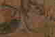 item-131345195=5