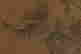 item-131345195=7